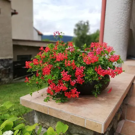 Oliva Villa