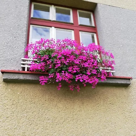 Oliva Villa