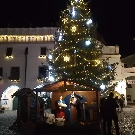 Villa Oliva